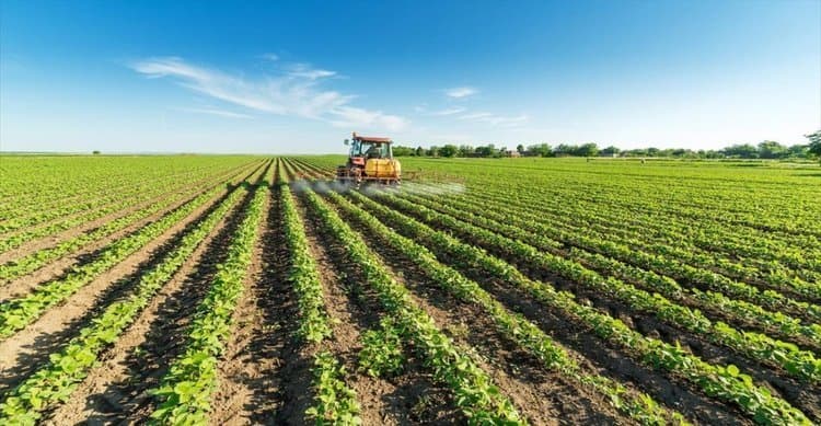 Application deadline for the Grants Scheme for the Creation, Modernization, and Digital Upgrading of Agricultural Products Processing and/or Trading Units has been extended