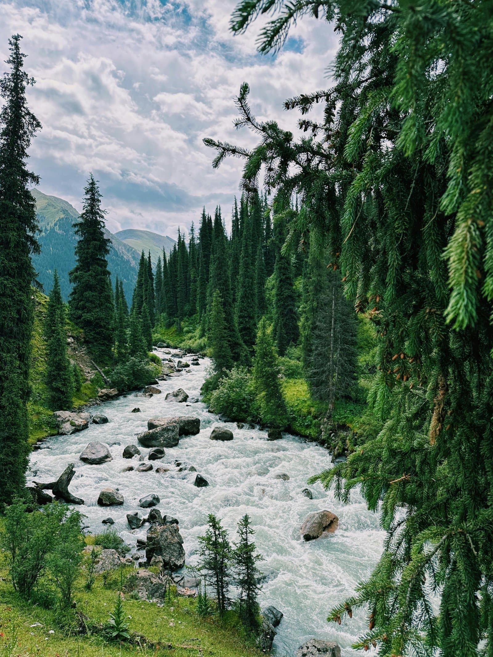 5 June: World Environment Day