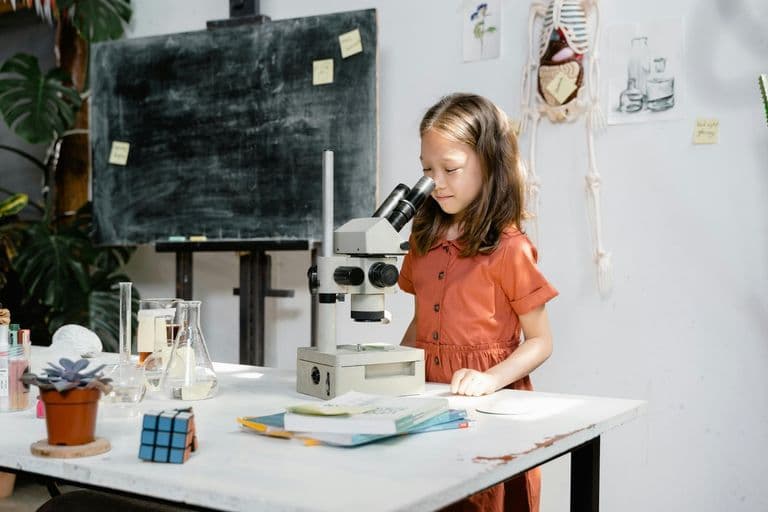 11th of February: International Day of Women and Girls in Science