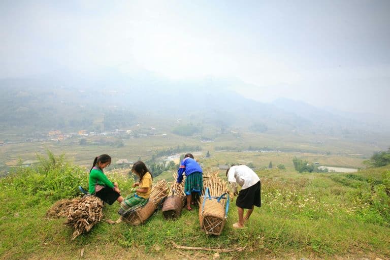 12 June: World Day Against Child Labour