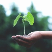 Environment Day