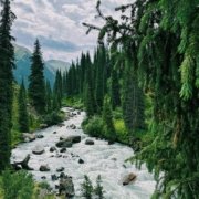 World Environment Day