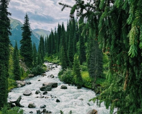 World Environment Day
